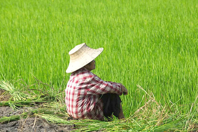 The Plight Farmers Amid Climate Change