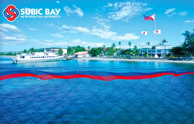 Promoting Progress, Building the Future