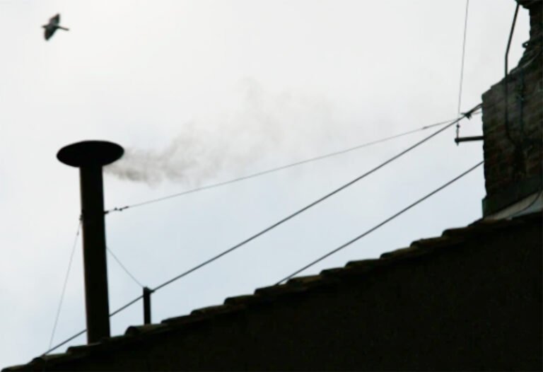 Voting for the Next Pope