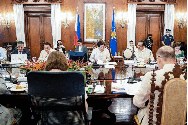 Perceived Blunders Of Some Cabinet Members