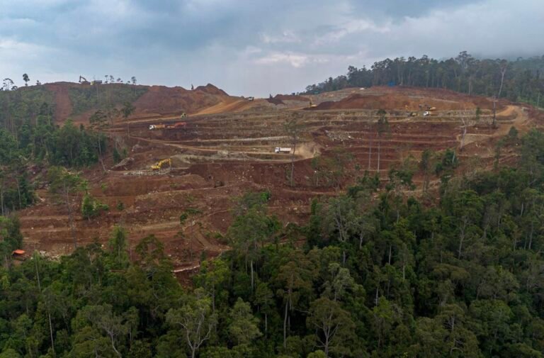 Nickel Mining in Palawan Rendering IPs Homeless?