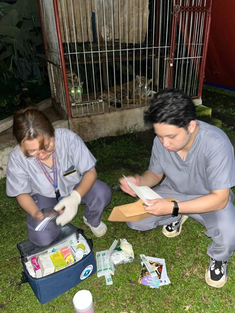 Paws And Protect On Ibabao Pet Day