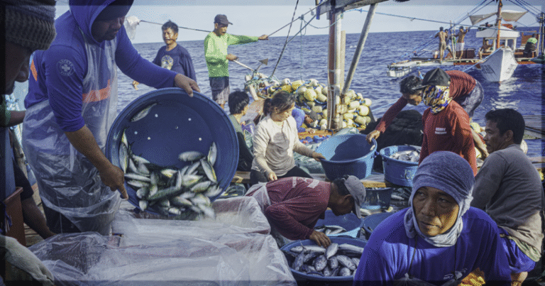 A Film China Is Afraid Of