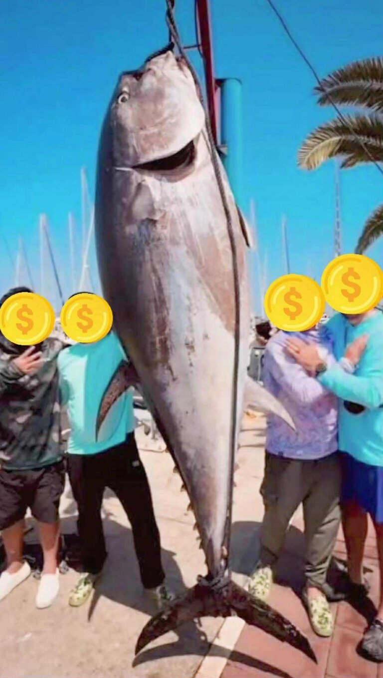 More Names, But People Wait For The Bigger Fish