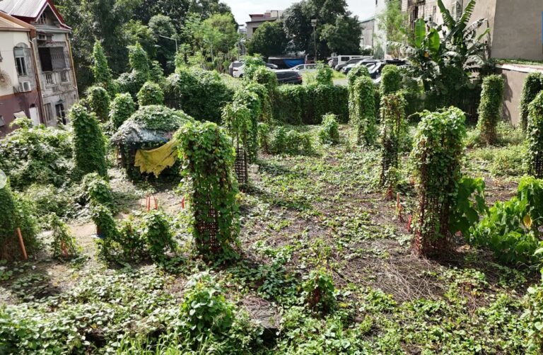 297 Ghost Super Health Centers Haunting DOH