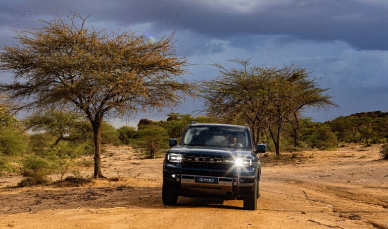 JETOUR And Discovery Channel Teams Up Anew For Cheetah Program