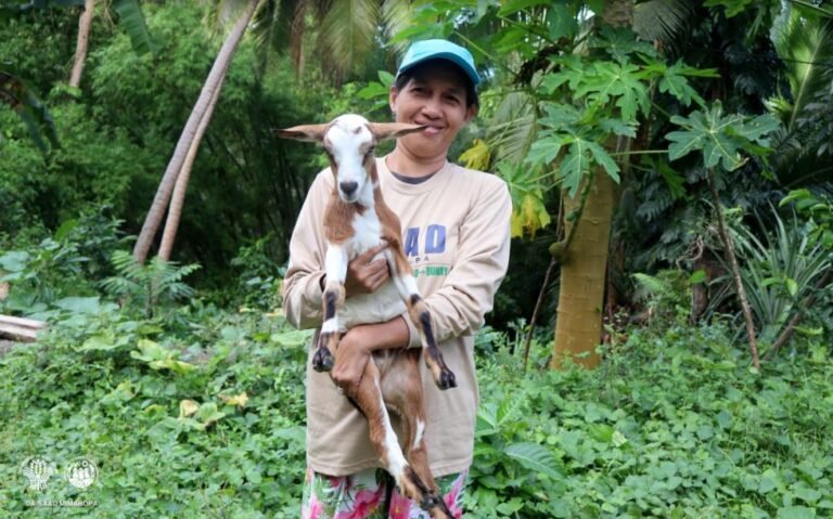 Goat-Raising: An Initiative Worth Trying