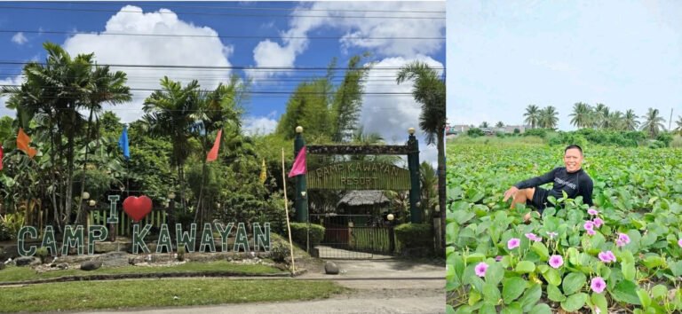 The Real Rags To Riches Story