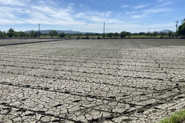 ‘Godzilla El Nino’ Can Be Bigger Crisis For PH